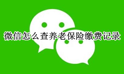微信怎么查养老保险缴费记录 在微信上怎么查询养老保险缴费记录