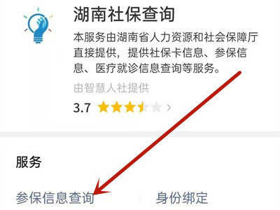 微信怎么查养老保险缴费记录