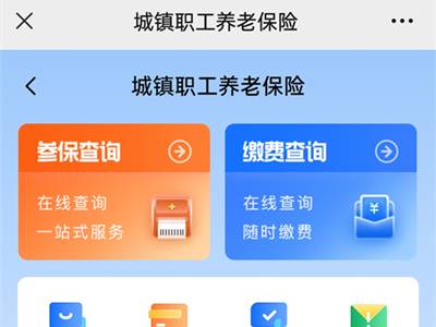 微信怎么查养老保险缴费记录