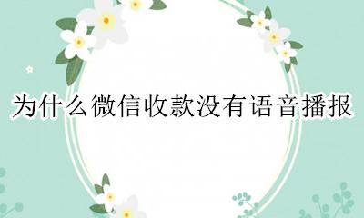 为什么微信收款没有语音播报 微信收款怎么没有语音播报了