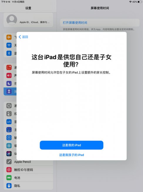 ipad设置青少年模式