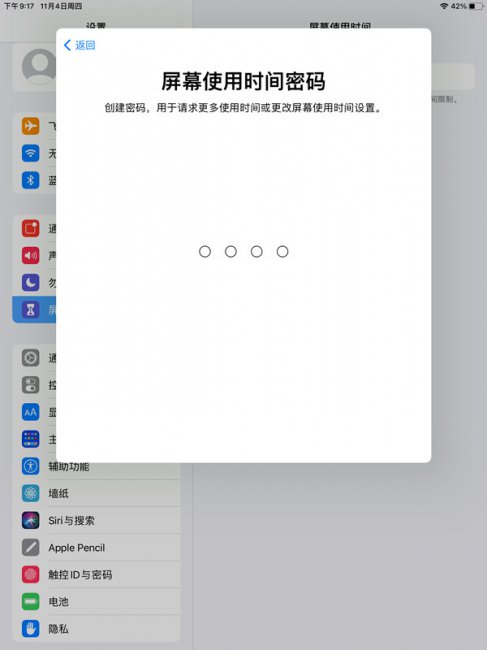 ipad设置青少年模式