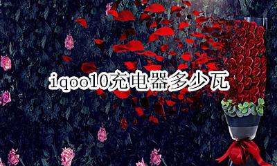 iqoo10充电器多少瓦 iqoo充电器是多少瓦的