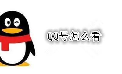 QQ号怎么看 qq号在哪里看