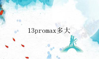 13promax多大 苹果13promax电池