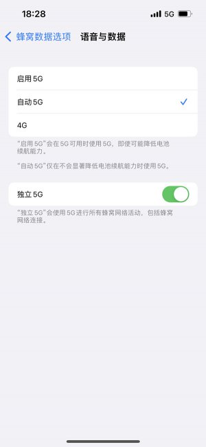 iphone12有5g吗