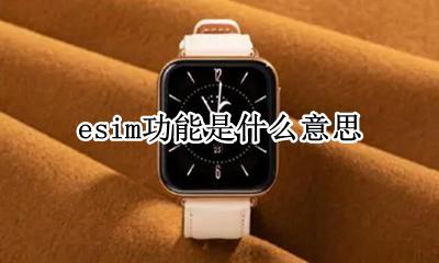 esim有什么用 esim功能是什么意思
