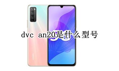 dvc an20参数 dvc an20是什么型号