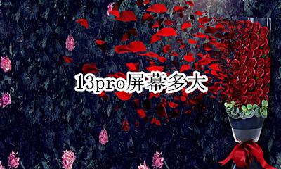 13pro屏幕多大 苹果13promax多大屏幕