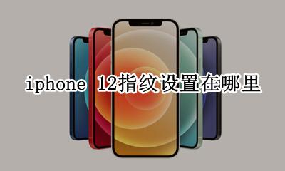 12苹果指纹在哪里设置的 iphone 12指纹设置在哪里