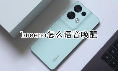 breeno怎么语音唤醒 breeno语音唤醒插件