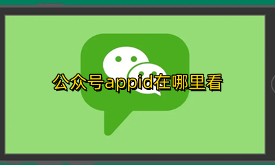 公众号的appid 公众号appid在哪里看