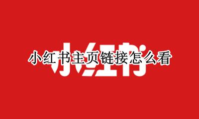 小红书主页链接怎么看 小红书的链接怎么打开