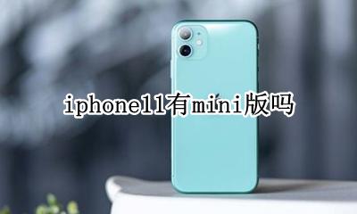 苹果11有没有mini版 iphone11有mini版吗