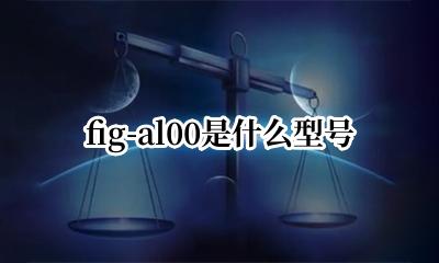 fig-al00是什么型号 fig-al00和fig-al00