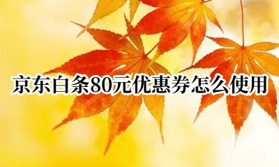 京东白条80元优惠劵 京东白条80元优惠券怎么使用