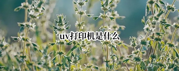 uv打印机是什么