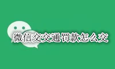 微信交交通罚款怎么交 怎么用微信交交通罚款