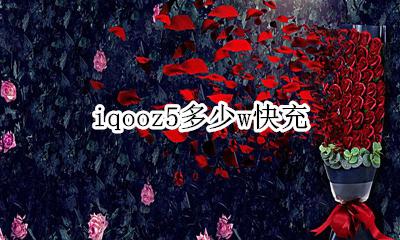 iqoo5多少w快充 iqooz5多少w快充