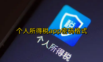 个人所得税app密码格式 个人所得税APP密码要求