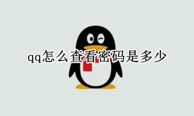 qq怎么查看密码是多少 怎样查看qq的密码是多少