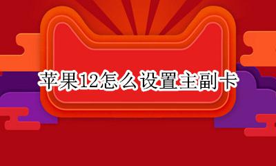 苹果12怎么设置主副卡 苹果12设置主副卡在哪里
