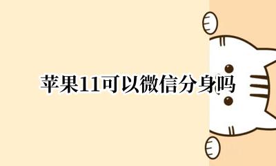 苹果11可以微信分身吗 苹果11可以有微信分身吗