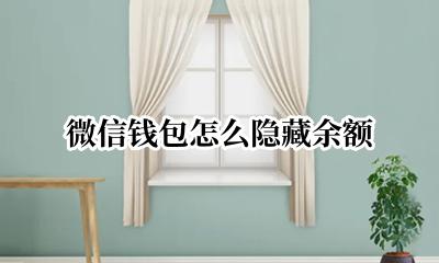 微信钱包怎么隐藏余额 微信钱包怎么显示余额
