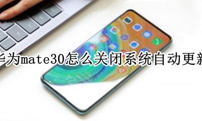 华为mate30怎么关闭系统自动更新 华为mate30手机怎么关闭系统自动更新