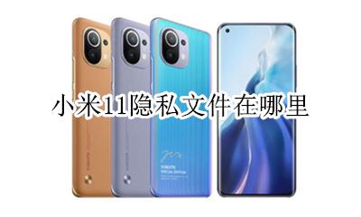 小米11隐私文件在哪里 小米隐私文件在哪里打开