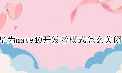 华为mate40开发者模式怎么关闭 如何开发者模式