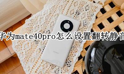 华为mate40pro如何静音 华为mate40pro怎么设置翻转静音