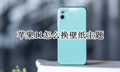 苹果11怎么换壁纸主题 苹果怎么换壁纸主题动态壁纸