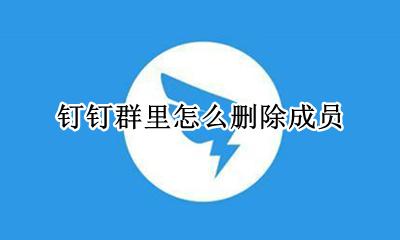 钉钉群里怎么删除成员 钉钉群里面怎么删除成员