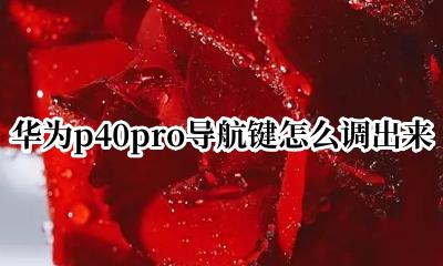 华为p40pro的导航键在哪 华为p40pro导航键怎么调出来