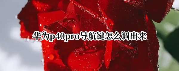 华为p40pro导航键怎么调出来