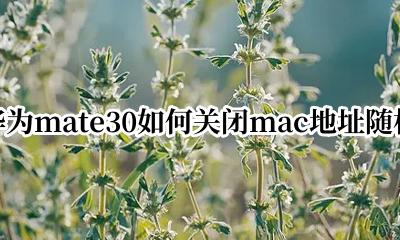 华为mate30的mac地址不可用 华为mate30如何关闭mac地址随机