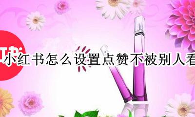 小红书怎么设置点赞不被别人看见 小红书里的点赞怎么不让别人看到