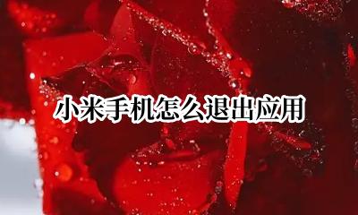 小米手机怎么退出应用 小米手机怎么关闭应用