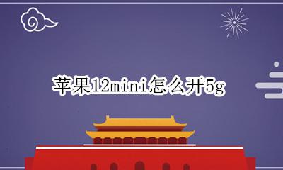 苹果12mini怎么开5g 苹果12mini怎么开两个微信