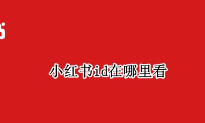 小红书id在哪里看 小红书id怎么搜索