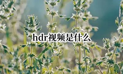 hdr视频是什么 视频中的hdr是什么