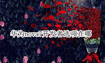 华为nova7的开发者选项 华为nova7开发者选项在哪