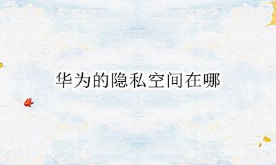 华为的隐私空间在哪 华为手机的隐私空间在哪儿