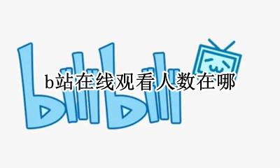 b站在线观看人数在哪 b站在哪儿看观看人数