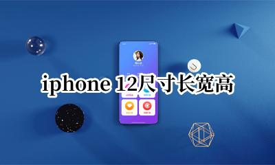 iphone12尺寸长度 iphone 12尺寸长宽高