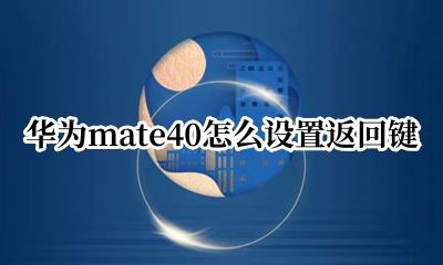 华为mate40怎么设置返回键 华为mate40如何调出返回键