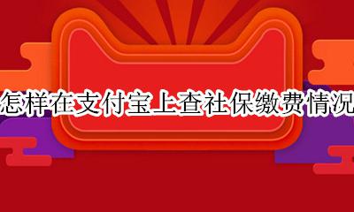 怎样在支付宝上查社保缴费情况 如何支付宝上查询社保缴费情况