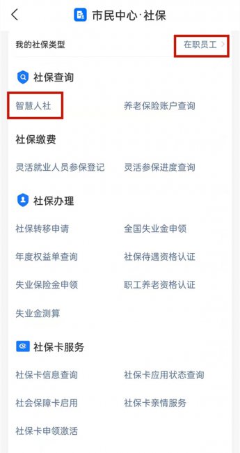 怎样在支付宝上查社保缴费情况