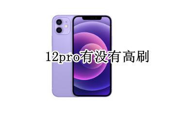 12pro有没有高刷 苹果12pro支持高刷吗